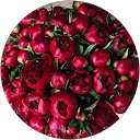 kibriyo komilova profile picture